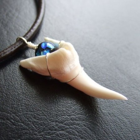 【表示現品】4.2cm アオザメ の歯ほたる玉 ペンダント - 20867zhb