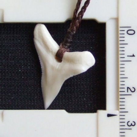 【表示現品】2.6.cm 大型オオメジロザメの歯ペンダント - 20888zhb
