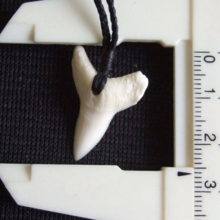 【表示現品】2.6.cm 大型オオメジロザメの歯ペンダント - 21035zhb