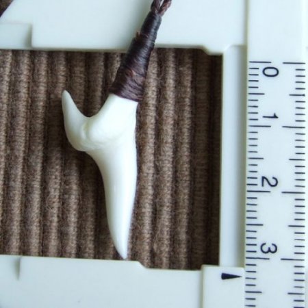 【表示現品】アオザメの前歯（約3.3cm）シンプルネックレス - 21069zhb