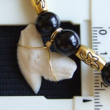 【表示現品】2.3cm 本物のイタチザメ サメの歯ビーズネックレス - 21117zhb