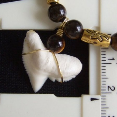 【表示現品】」イタチザメ（タイガーシャーク）の歯ネックレス 2.2 cm - 21125zhb