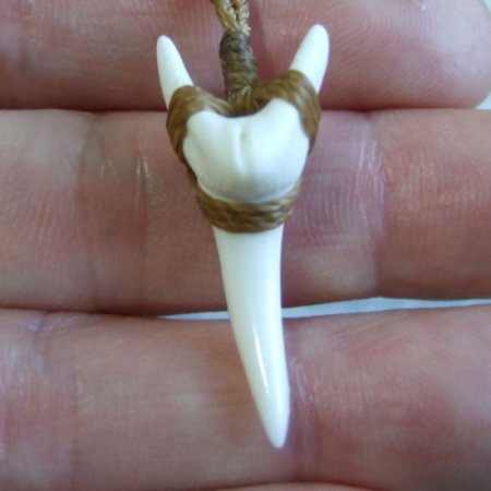 【表示現品】アオザメの前歯（約3.3cm）編みこみネックレス - 21137zhb