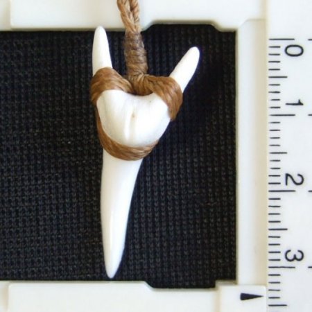 【表示現品】アオザメの前歯（約3.3cm）編みこみネックレス - 21137zhb