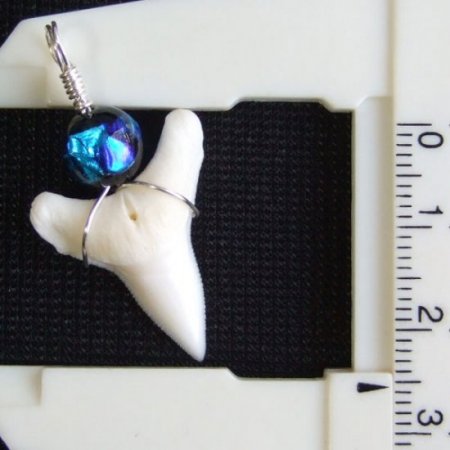 【表示現品】メジロザメの歯 ほたる玉ペンダントトップ - 21170zhb