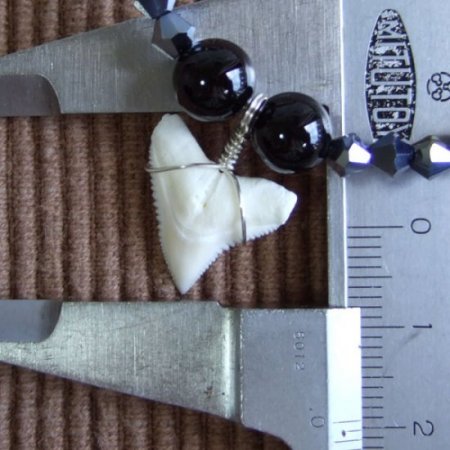 【表示現品】1.9cm メジロザメの歯ネックレス（上あごの歯） - 21194zhb