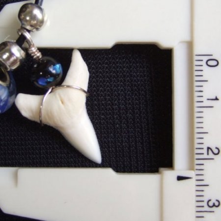 【表示現品】メジロザメの歯 トンボ玉ペンダント - 21202zhb