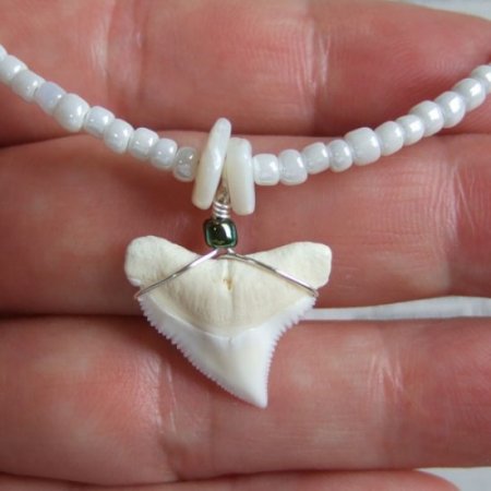 メジロザメの歯 ビーズネックレス - 21207zhb