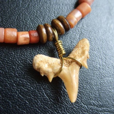 【表示現品】古代シロワニの仲間の歯化石　ビーズブレスレット - 30311zhb