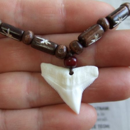 【現品】本物のサメの歯（ブル・シャーク）ネックレス - b20557zhb