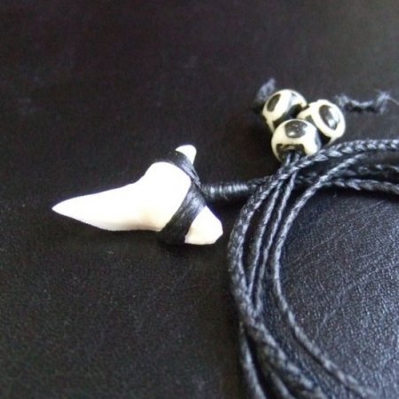 【表示現品】本物のサメの歯（ブル・シャーク）ネックレス - BLN-12031