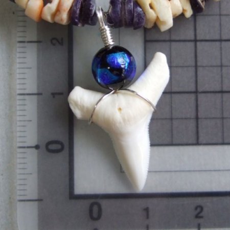 【表示現品】メジロザメの歯ホタル球ビーズネックレス - BLN-12035