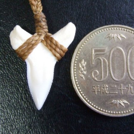 【表示現品】2.5.cm 大型オオメジロザメの歯ペンダント - BLN-12046