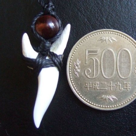 【表示現品】アオザメの前歯（約3.3cm）編みこみネックレス - BLN-12051
