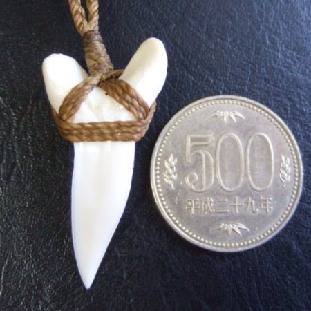 【表示現品】アオザメの歯（約4.1cm）ネックレス - BLN-12053