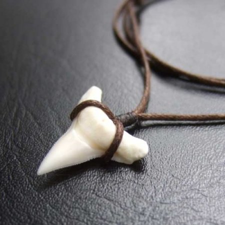 【表示現品】1.9.cm オオメジロザメの歯シンプルペンダント - BLN-12062
