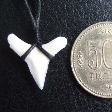 【表示現品】1.9.cm オオメジロザメの歯シンプルペンダント - BLN-12064