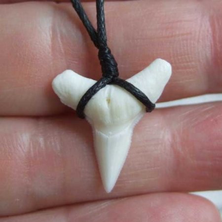 【表示現品】1.9.cm オオメジロザメの歯シンプルペンダント - BLN-12066