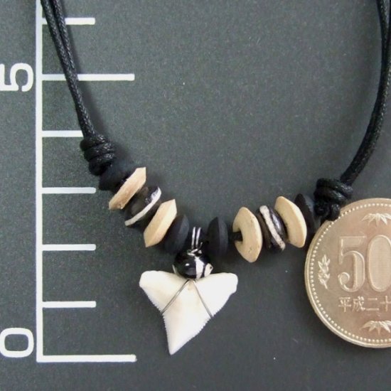 本物のサメの歯ネックレス - 20005thd