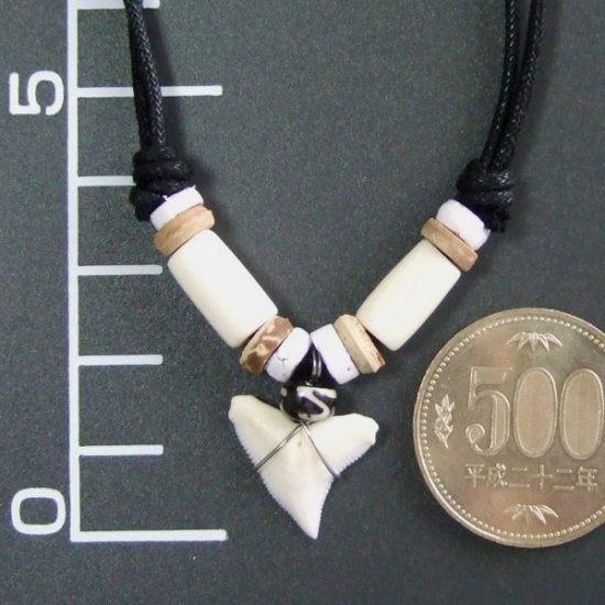 本物のサメの歯ネックレス - 20008thd