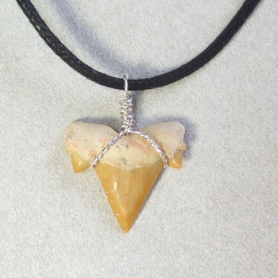 本物のサメの歯（化石）ペンダント【現品】 - 30118esa