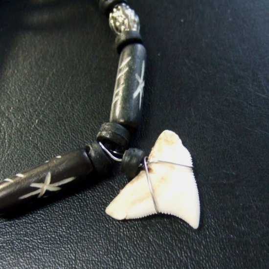 本物のサメの歯ネックレス - 20033etk
