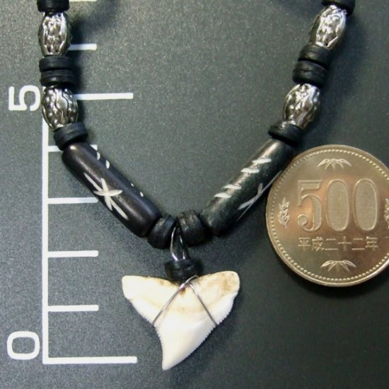 本物のサメの歯ネックレス - 20033etk