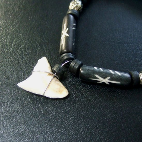 本物のサメの歯ネックレス - 20033etk