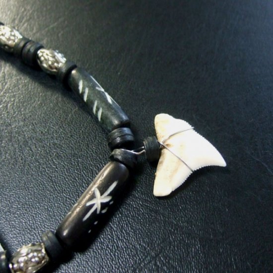 本物のサメの歯ネックレス - 20033etk