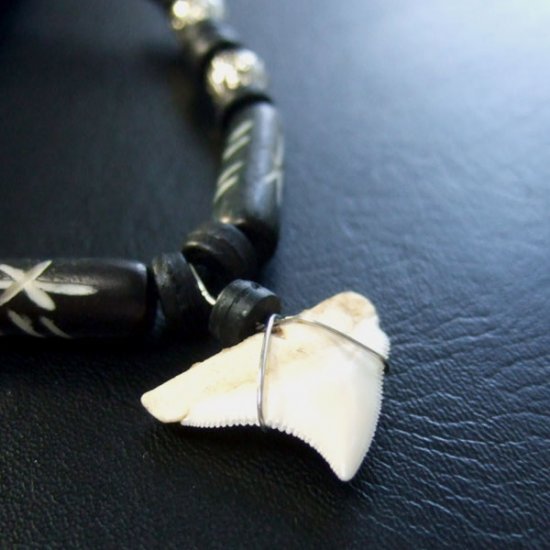 本物のサメの歯ネックレス - 20033etk