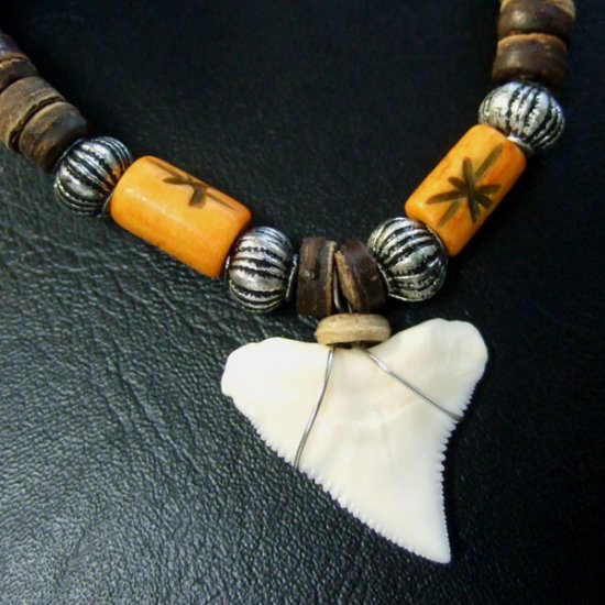 2.2cm メジロザメ 本物のサメの歯ネックレス - 20035etk