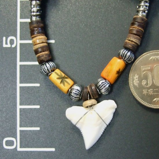 2.2cm メジロザメ 本物のサメの歯ネックレス - 20035etk