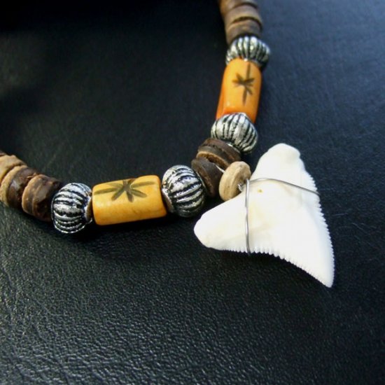 2.2cm メジロザメ 本物のサメの歯ネックレス - 20035etk