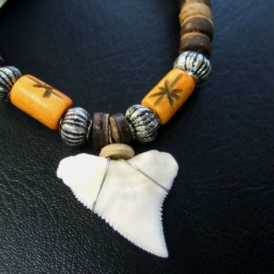 2.2cm メジロザメ 本物のサメの歯ネックレス - 20035etk