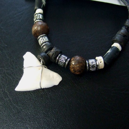 本物のサメの歯ネックレス - 20037etk