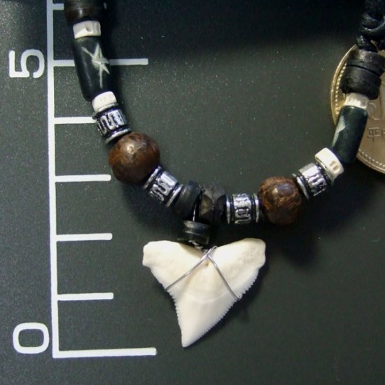 本物のサメの歯ネックレス - 20037etk