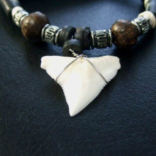 本物のサメの歯ネックレス - 20037etk