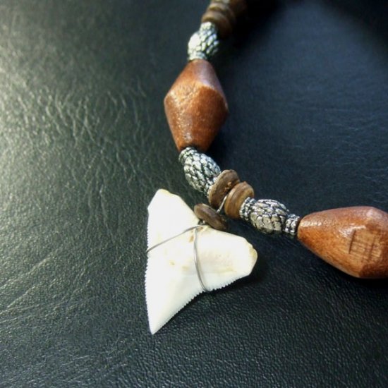 本物のサメの歯ネックレス - 20039etk