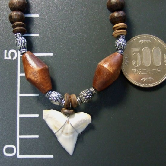 本物のサメの歯ネックレス - 20039etk