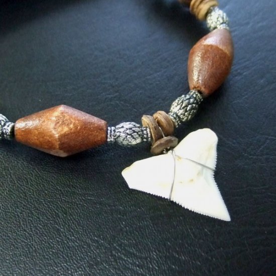 本物のサメの歯ネックレス - 20039etk