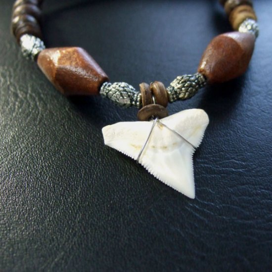 本物のサメの歯ネックレス - 20039etk