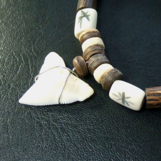 本物のサメの歯ネックレス - 20040etk