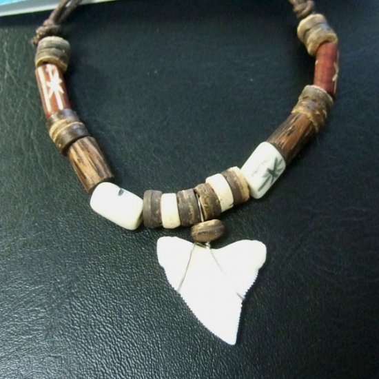 本物のサメの歯ネックレス - 20040etk