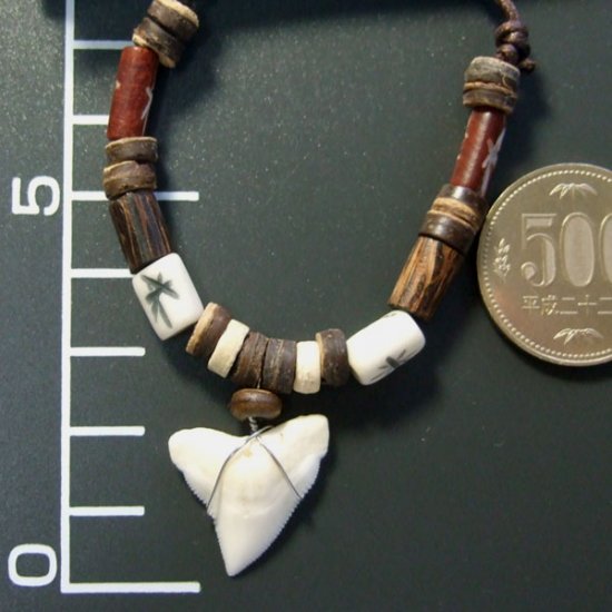 本物のサメの歯ネックレス - 20040etk