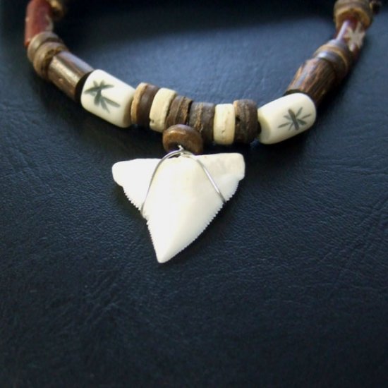 本物のサメの歯ネックレス - 20040etk