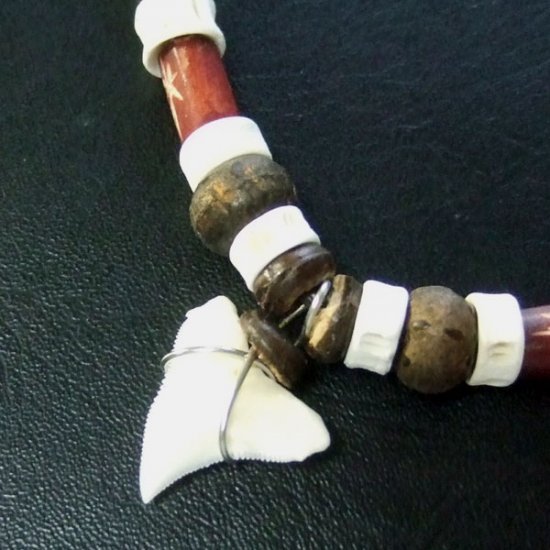 本物のサメの歯ネックレス - 20042etk