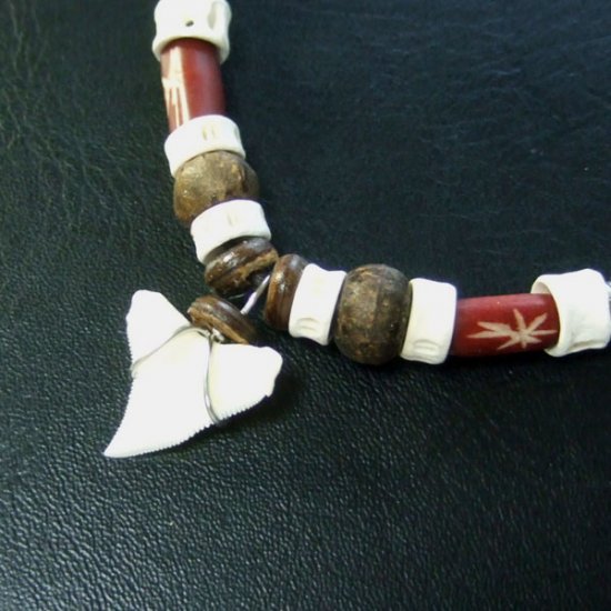 本物のサメの歯ネックレス - 20042etk