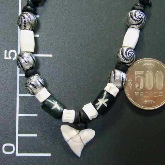 本物のサメの歯ネックレス - 20044etk