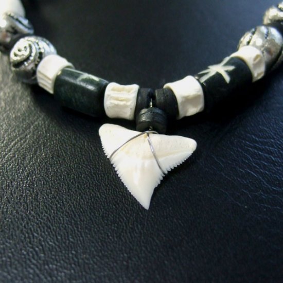 本物のサメの歯ネックレス - 20044etk