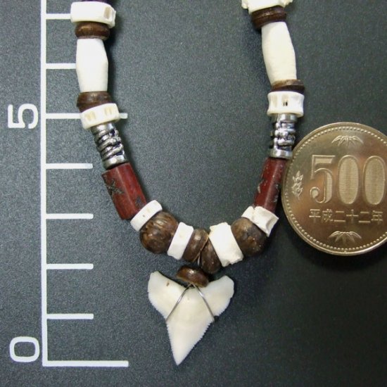 本物のサメの歯ネックレス - 20047etk